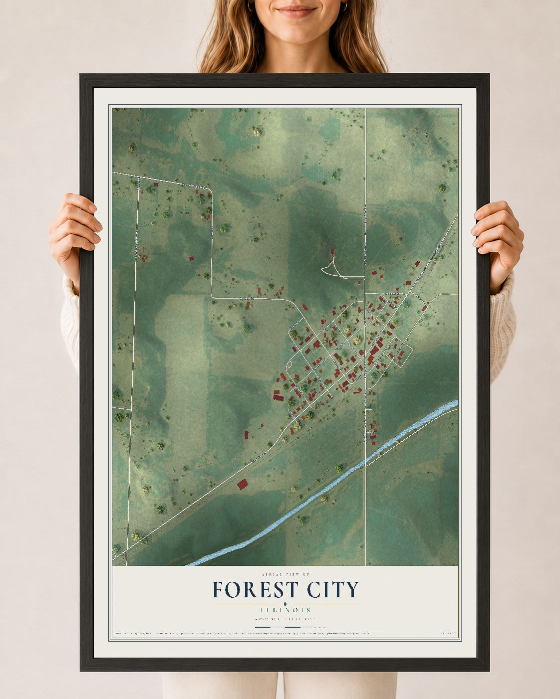 Map of Forest City, Illinois, 24 x 36 inch print in a black wood frame