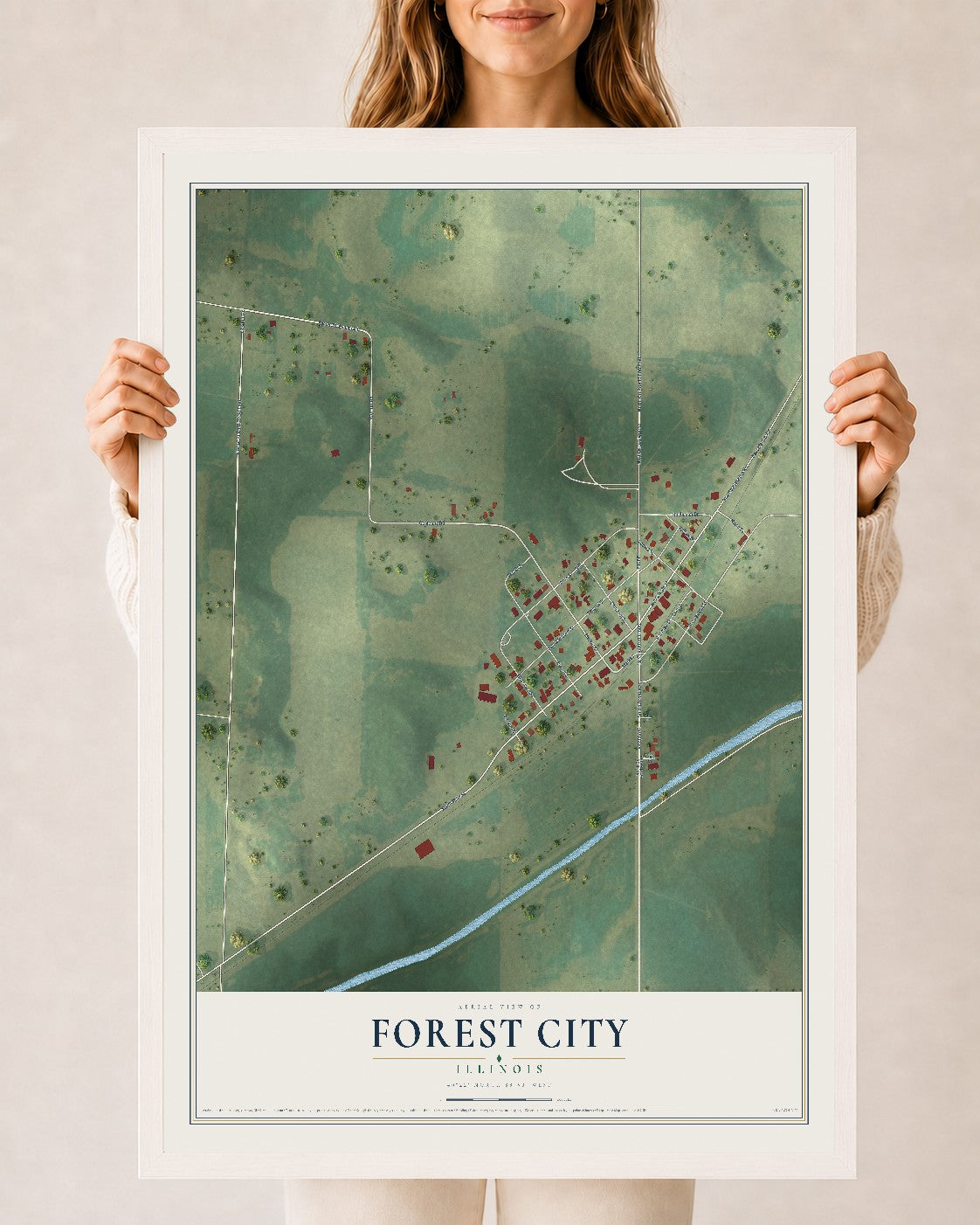 Map of Forest City, Illinois, 24 x 36 inch print in a white wood frame