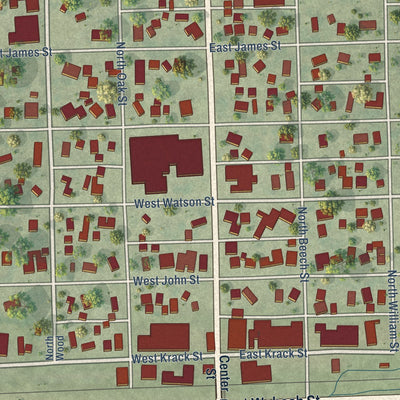 Close-up of the map of Forrest, Illinois print showing street and building detail