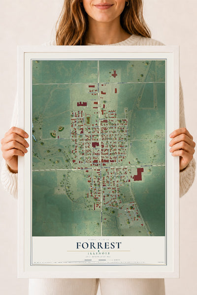 Map of Forrest, Illinois, 18 x 24 inch print in a white wood frame