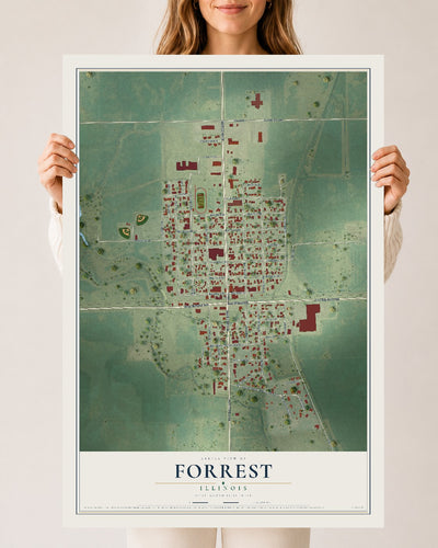 Map of Forrest, Illinois, 24 x 36 inch unframed archival matte print