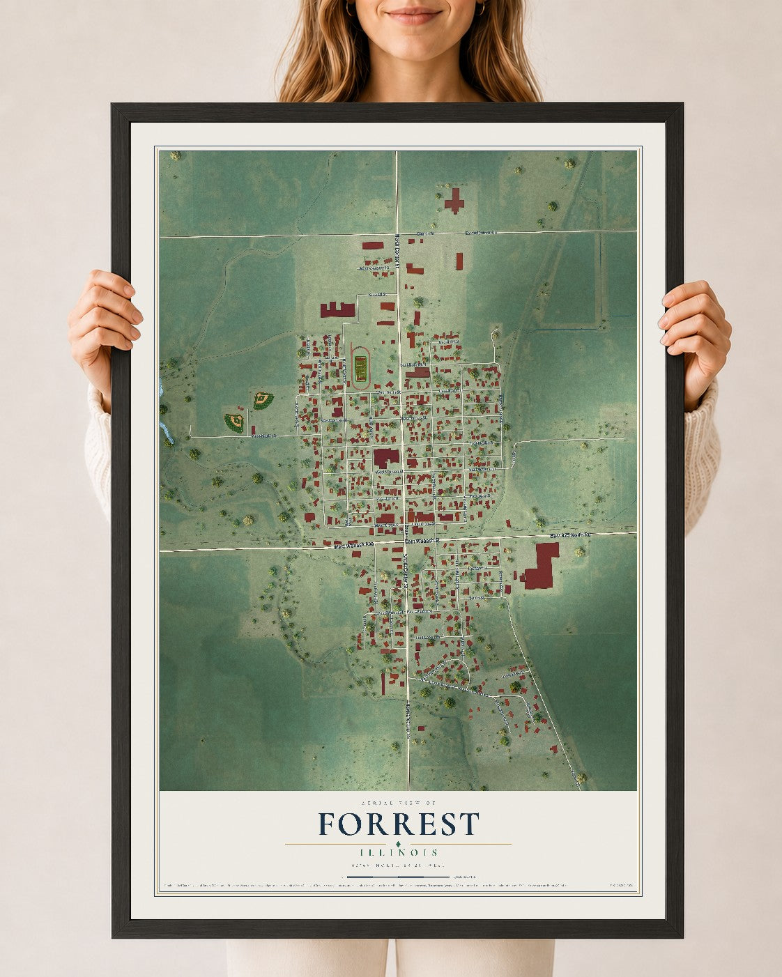 Map of Forrest, Illinois, 24 x 36 inch print in a black wood frame