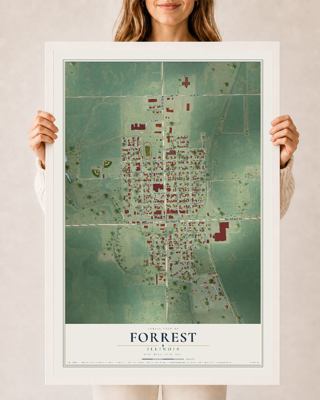 Map of Forrest, Illinois, 24 x 36 inch print in a white wood frame
