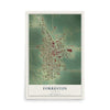 Map of Forreston, Illinois, 12 x 18 inch unframed archival matte print