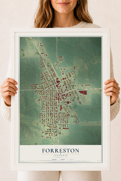 Map of Forreston, Illinois, 18 x 24 inch print in a white wood frame