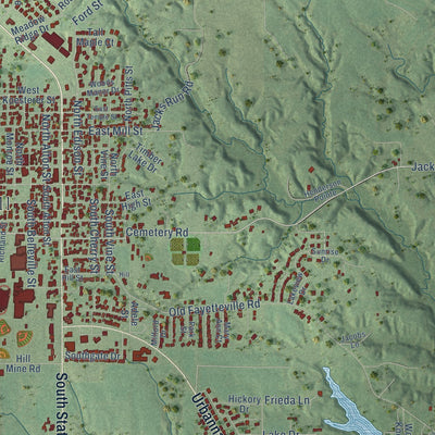 Close-up of the map of Freeburg, Illinois print showing street and building detail
