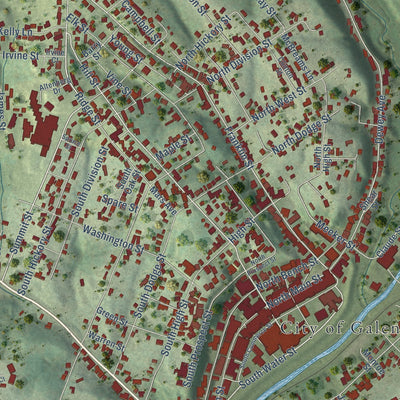Close-up of the map of Galena, Illinois print showing street and building detail