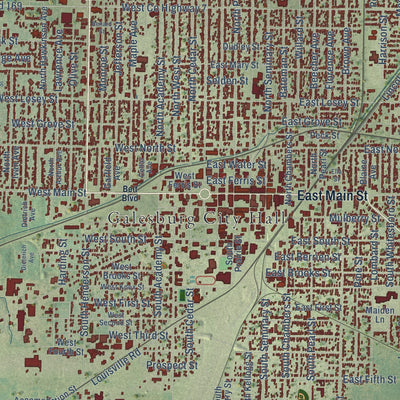 Close-up of the map of Galesburg, Illinois print showing street and building detail