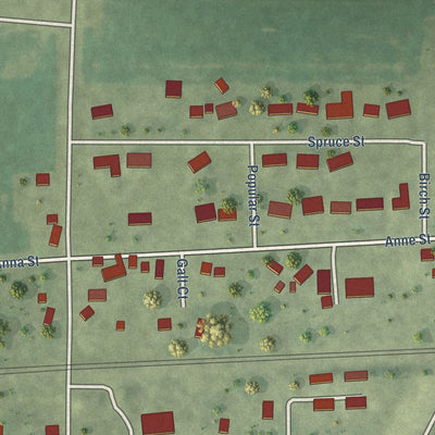 Close-up of the map of Galt, Illinois print showing street and building detail