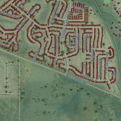 Second close-up of the map of Gilberts, Illinois print showing more streets and buildings