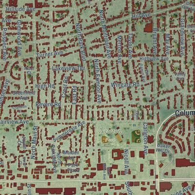 Close-up of the map of Glen Ellyn, Illinois print showing street and building detail