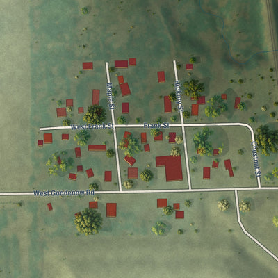 Close-up of the map of Goodenow, Illinois print showing street and building detail