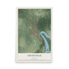 Map of Grayville, Illinois, 12 x 18 inch unframed archival matte print
