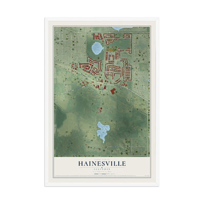 Map of Hainesville, Illinois, 12 x 18 inch print in a white wood frame