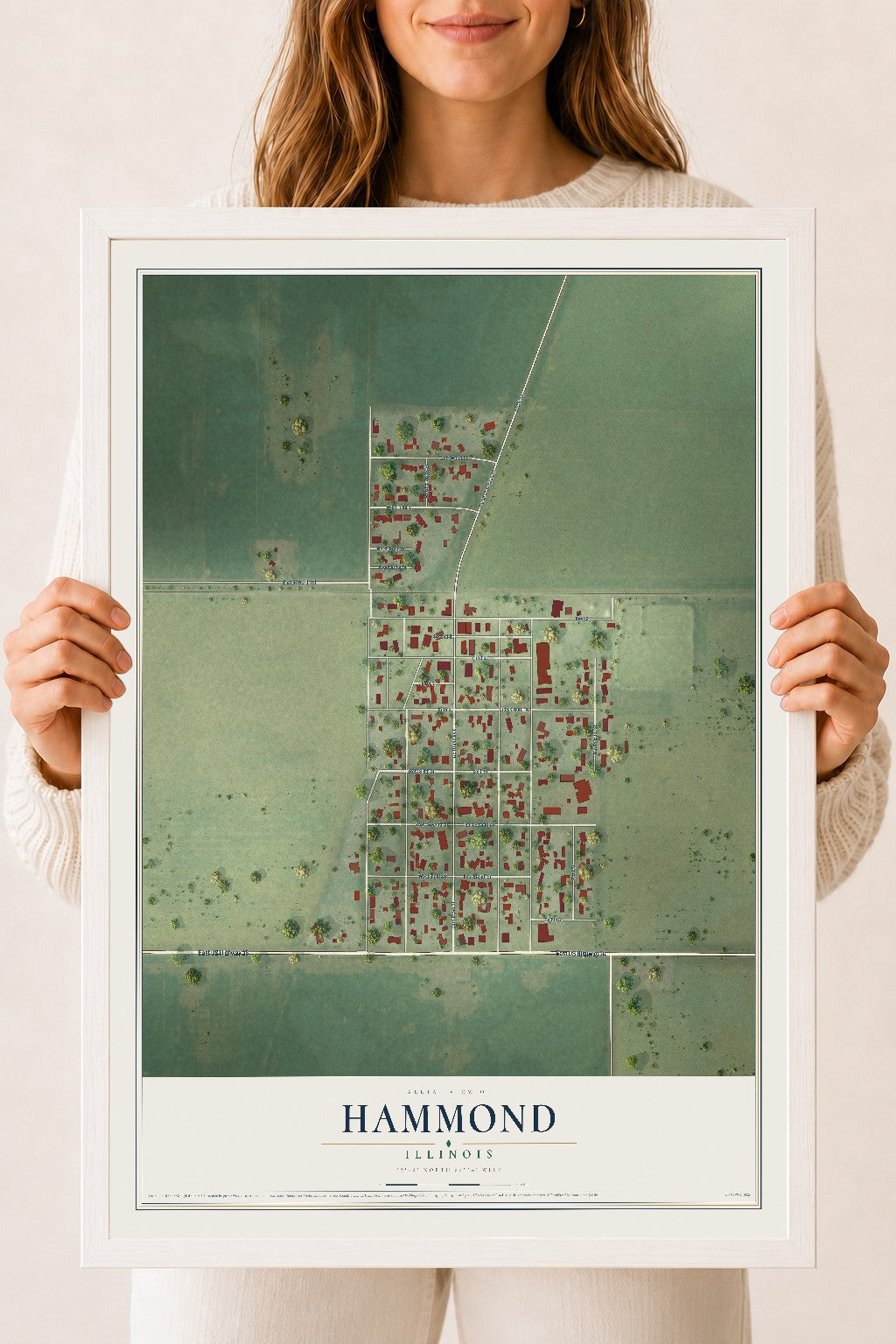 Map of Hammond, Illinois, 18 x 24 inch print in a white wood frame