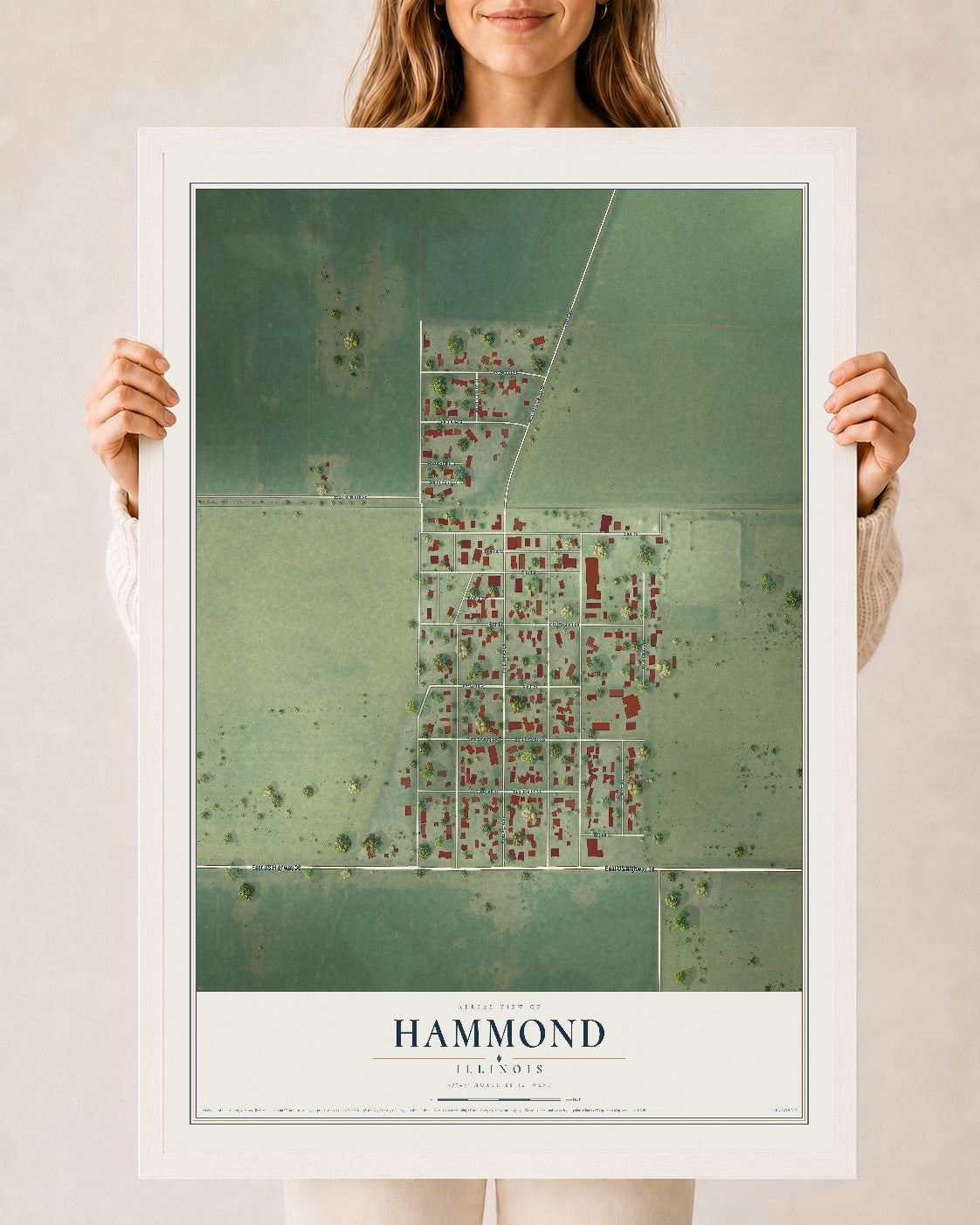 Map of Hammond, Illinois, 24 x 36 inch print in a white wood frame
