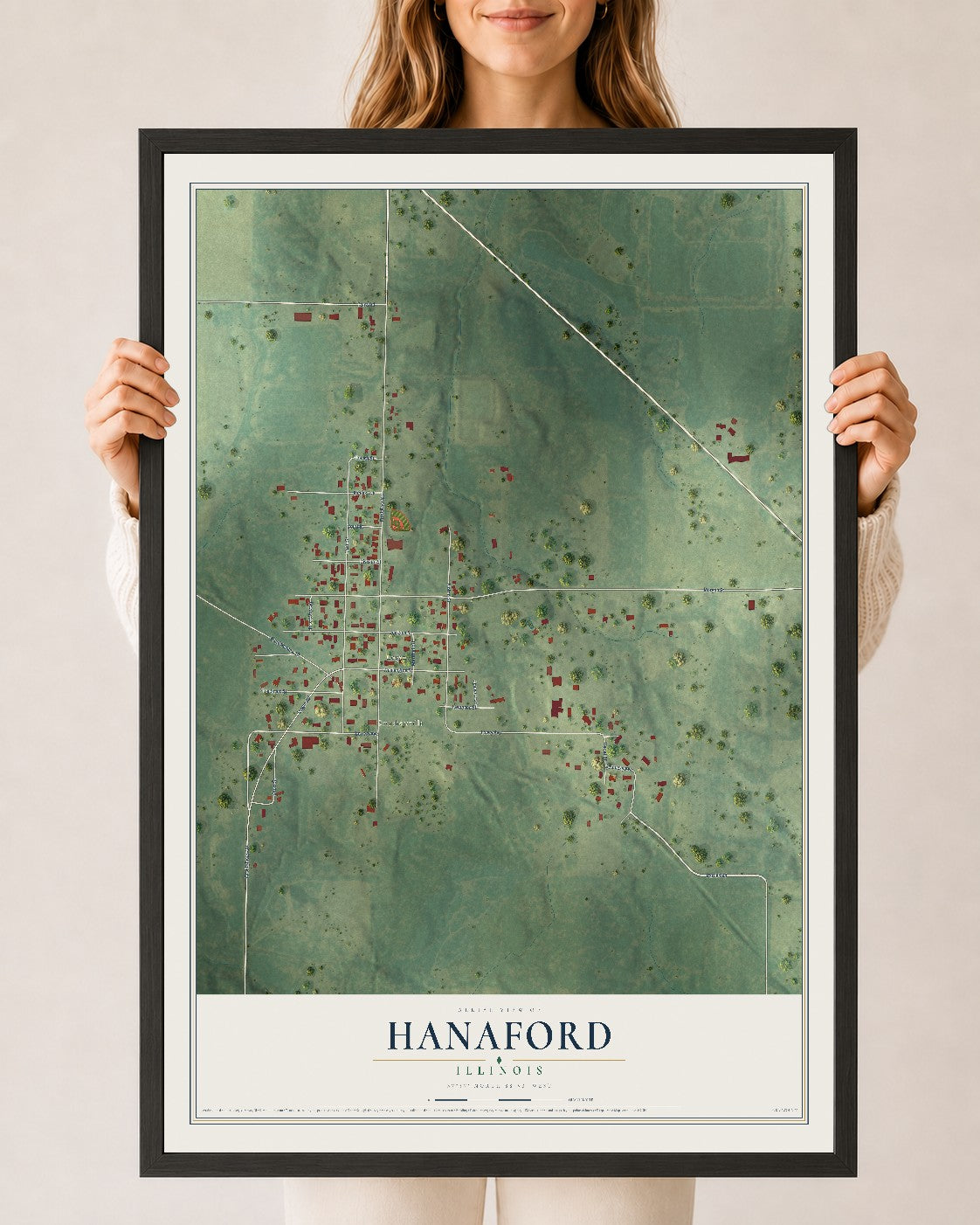 Map of Hanaford, Illinois, 24 x 36 inch print in a black wood frame