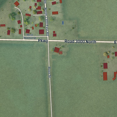 Second close-up of the map of Henning, Illinois print showing more streets and buildings