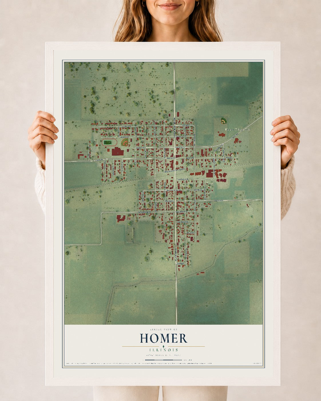 Map of Homer, Illinois, 24 x 36 inch print in a white wood frame