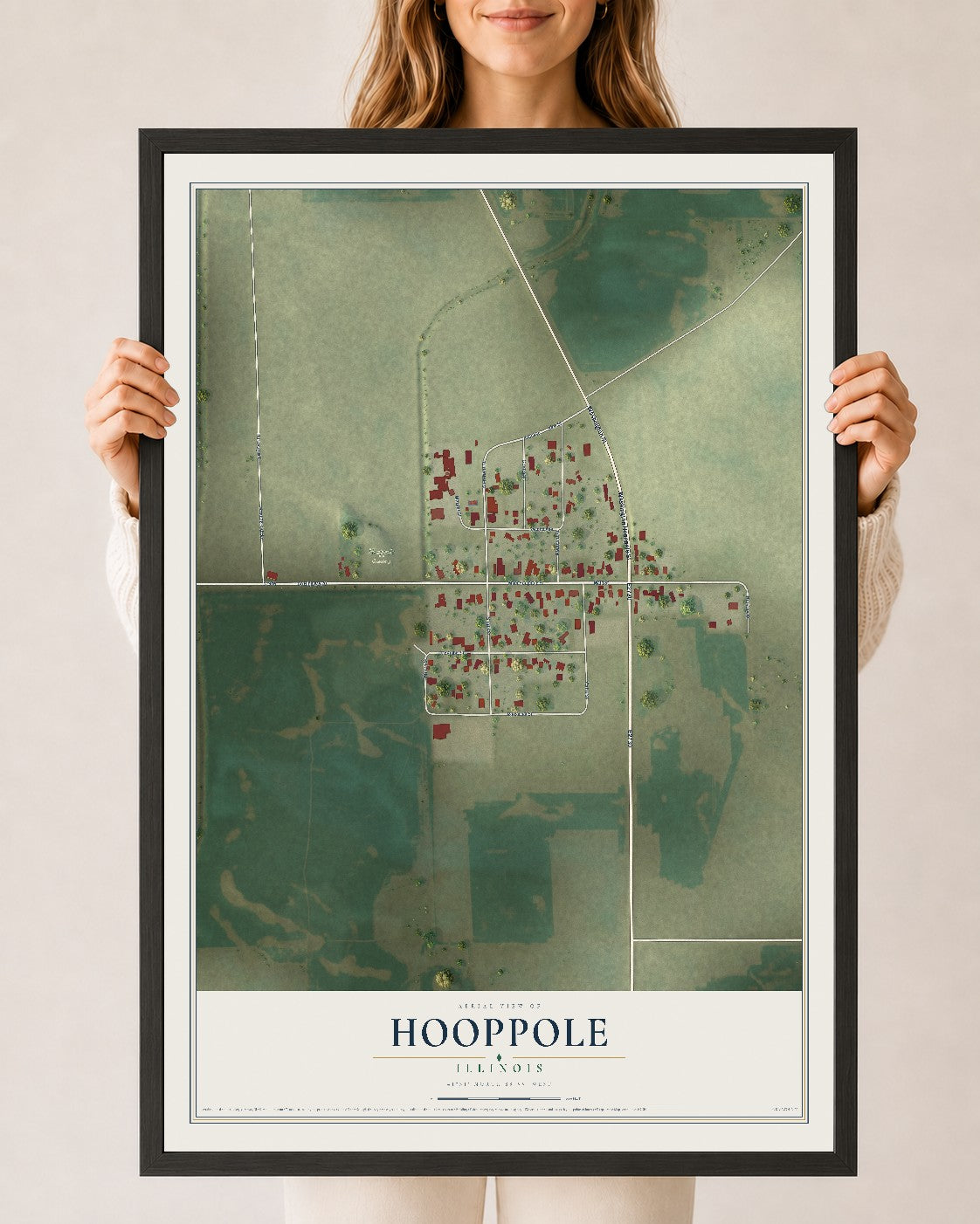 Map of Hooppole, Illinois, 24 x 36 inch print in a black wood frame