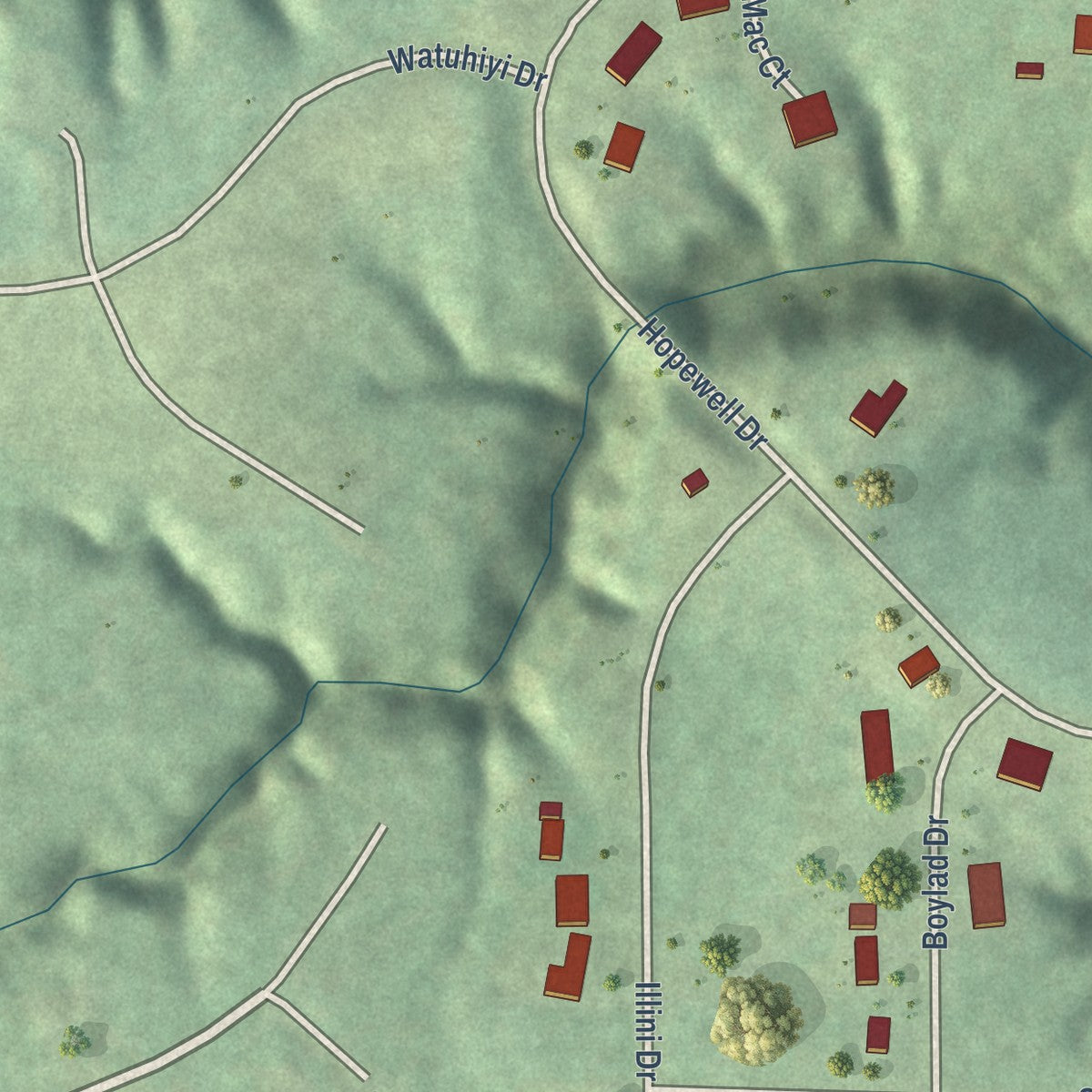 Close-up of the map of Hopewell, Illinois print showing street and building detail