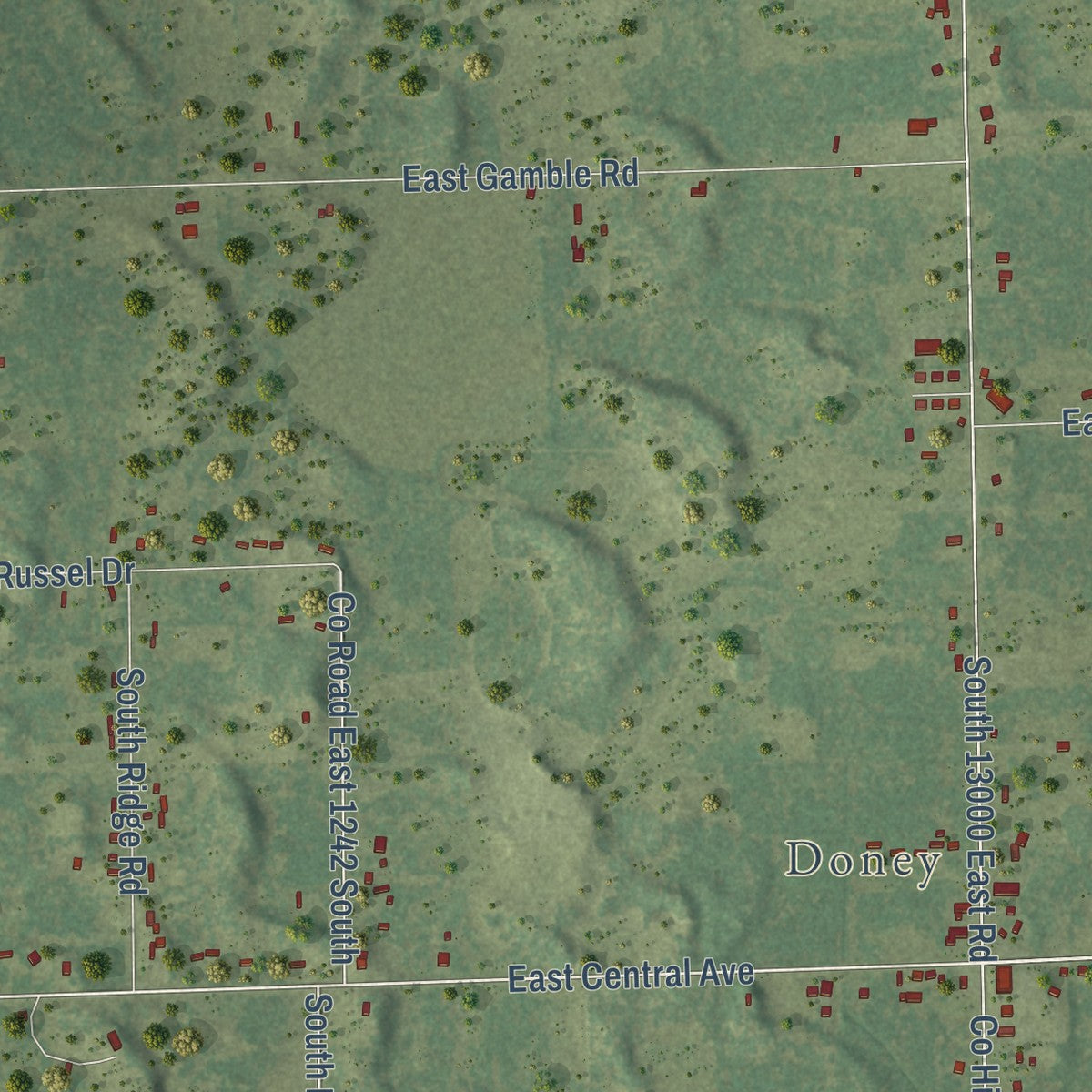 Close-up of the map of Hopkins Park, Illinois print showing street and building detail