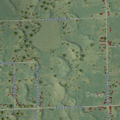 Close-up of the map of Hopkins Park, Illinois print showing street and building detail