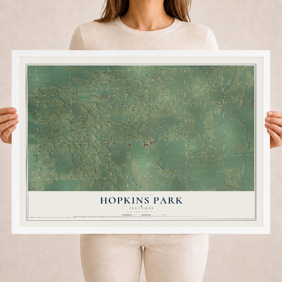 Map of Hopkins Park, Illinois, 18 x 24 inch print in a white wood frame