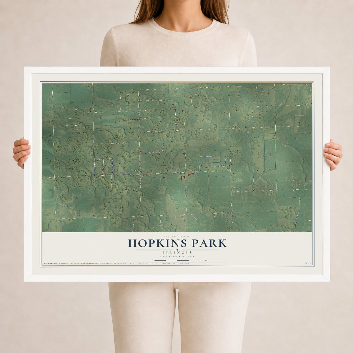 Map of Hopkins Park, Illinois, 24 x 36 inch print in a white wood frame
