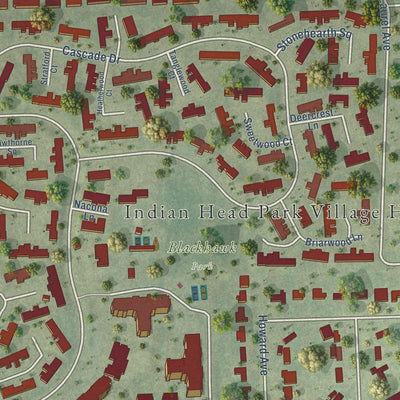 Close-up of the map of Indian Head Park, Illinois print showing street and building detail