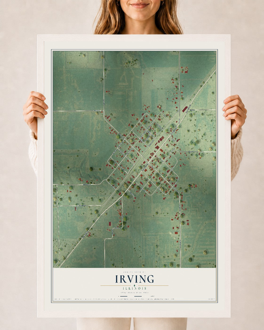 Map of Irving, Illinois, 24 x 36 inch print in a white wood frame