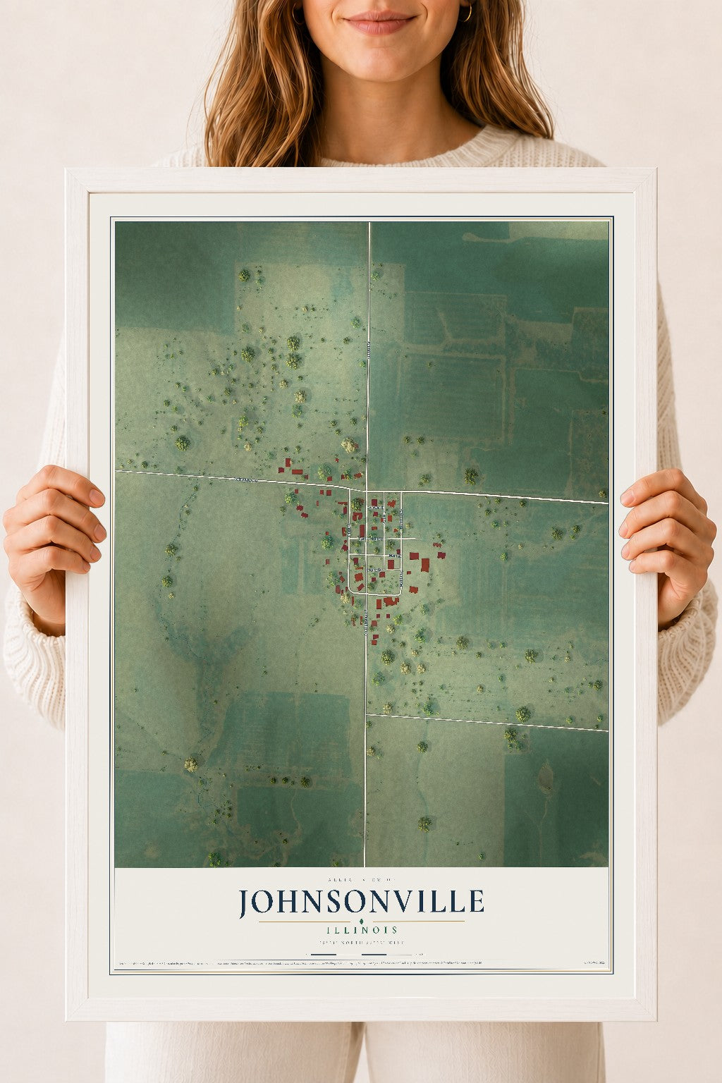 Map of Johnsonville, Illinois, 18 x 24 inch print in a white wood frame