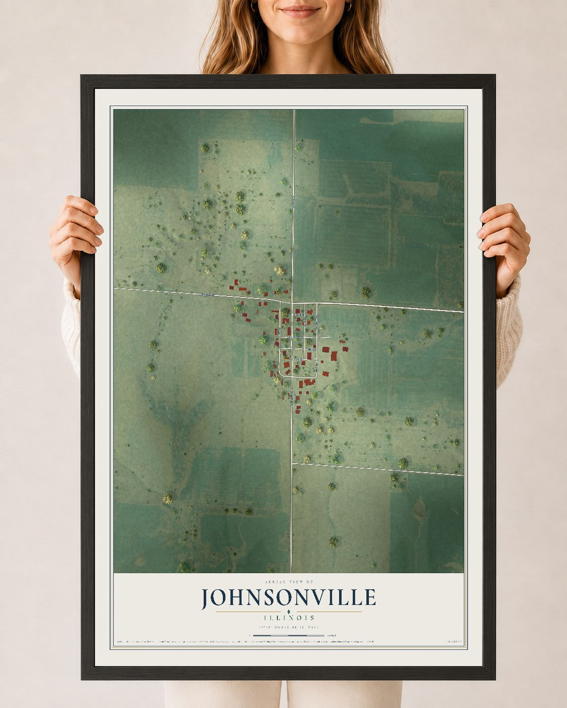 Map of Johnsonville, Illinois, 24 x 36 inch print in a black wood frame