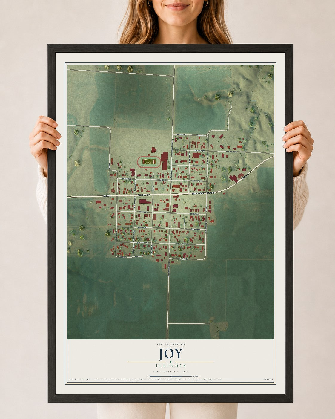 Map of Joy, Illinois, 24 x 36 inch print in a black wood frame