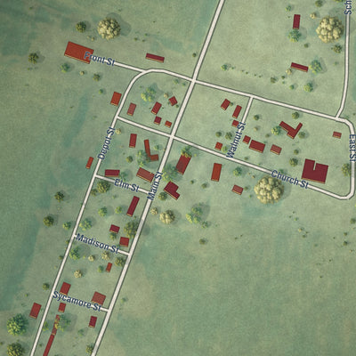 Close-up of the map of Junction, Illinois print showing street and building detail