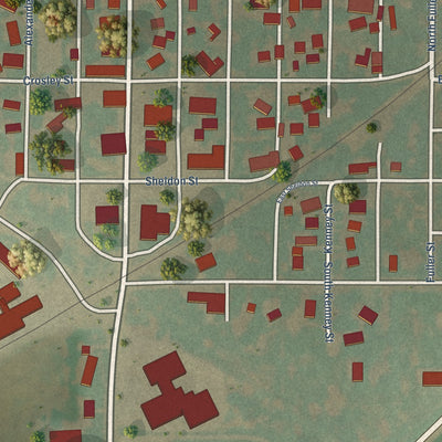 Close-up of the map of Kenney, Illinois print showing street and building detail