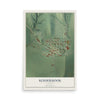 Map of Kinderhook, Illinois, 12 x 18 inch unframed archival matte print