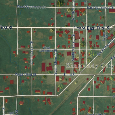Close-up of the map of Kinmundy, Illinois print showing street and building detail