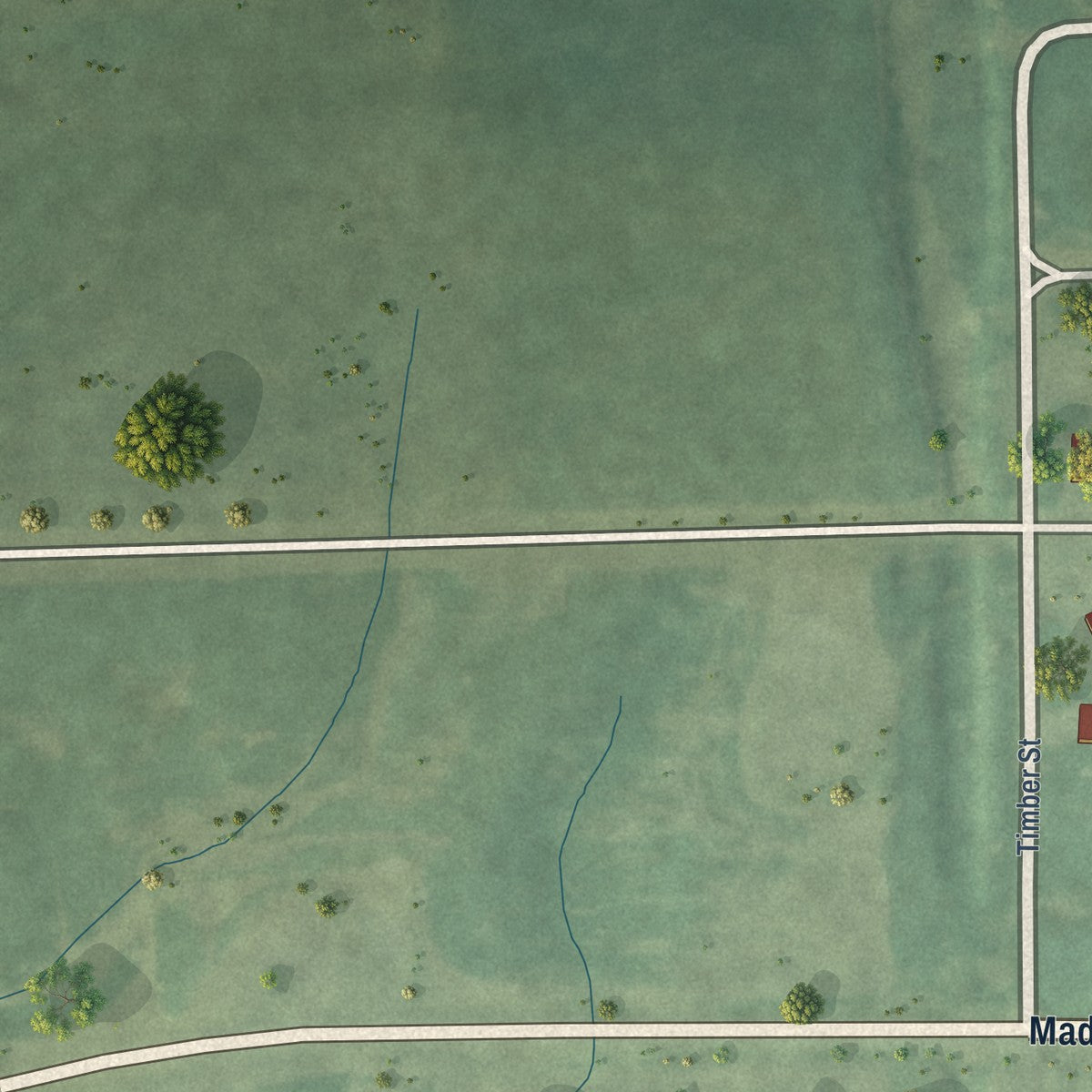Second close-up of the map of La Fayette, Illinois print showing more streets and buildings