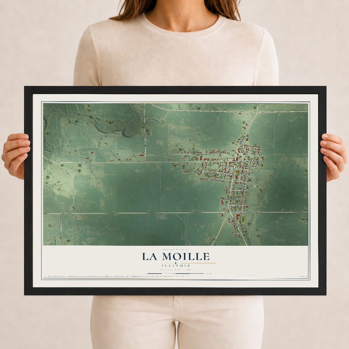 Map of La Moille, Illinois, 12 x 18 inch print in a black wood frame