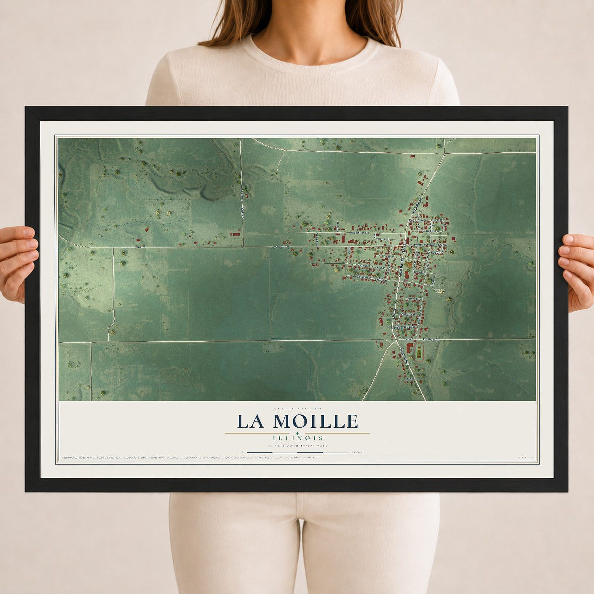 Map of La Moille, Illinois, 18 x 24 inch print in a black wood frame
