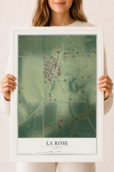 Map of La Rose, Illinois, 18 x 24 inch print in a white wood frame