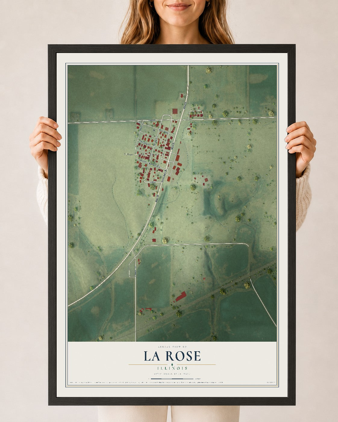 Map of La Rose, Illinois, 24 x 36 inch print in a black wood frame