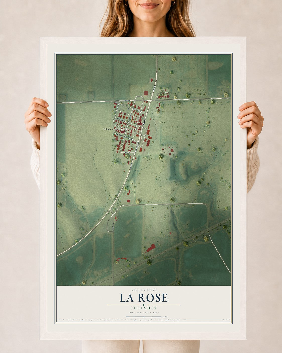 Map of La Rose, Illinois, 24 x 36 inch print in a white wood frame