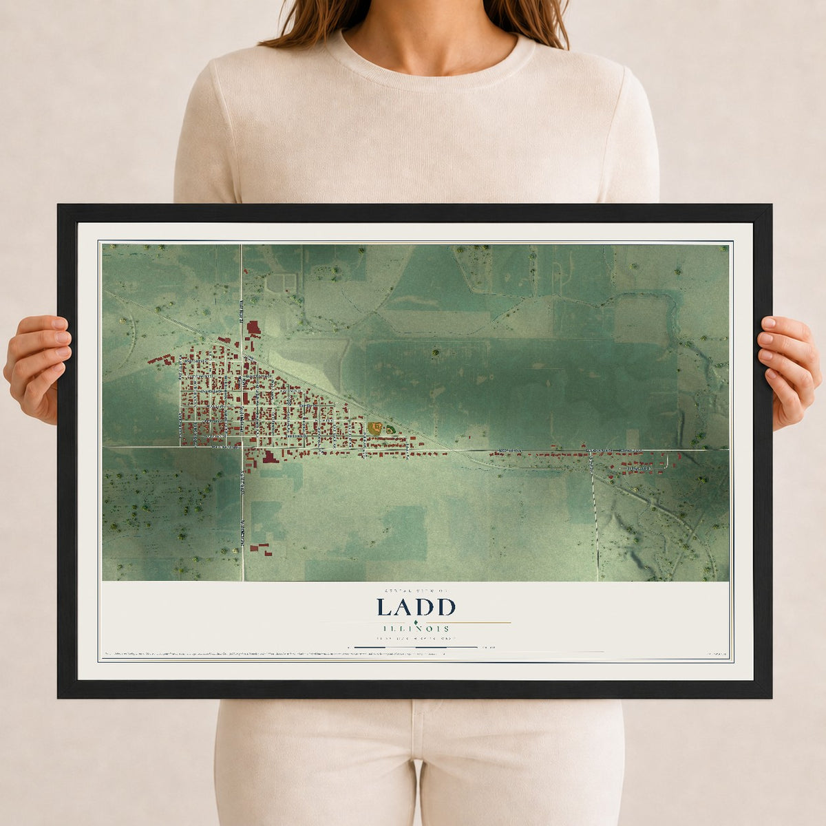 Map of Ladd, Illinois, 12 x 18 inch print in a black wood frame