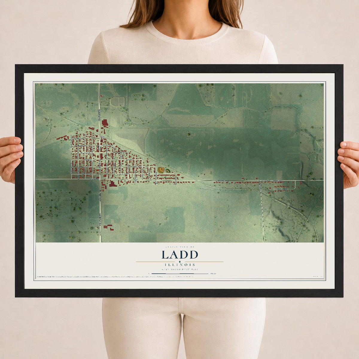 Map of Ladd, Illinois, 18 x 24 inch print in a black wood frame