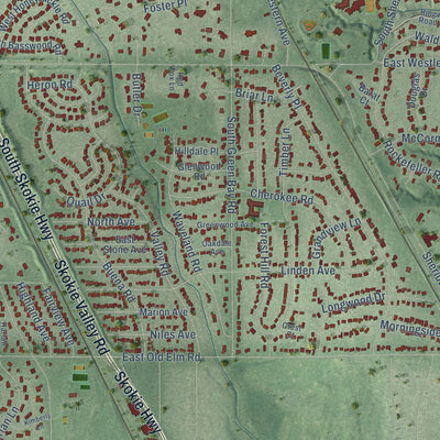 Second close-up of the map of Lake Forest, Illinois print showing more streets and buildings