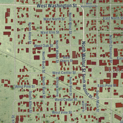 Close-up of the map of Le Roy, Illinois print showing street and building detail