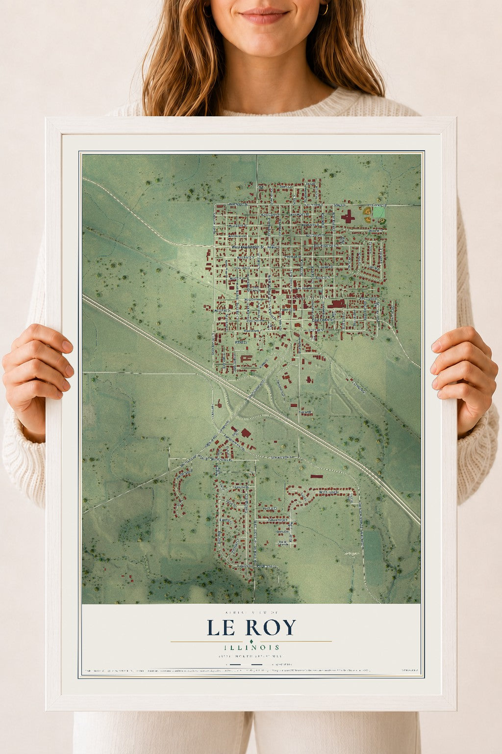 Map of Le Roy, Illinois, 18 x 24 inch print in a white wood frame