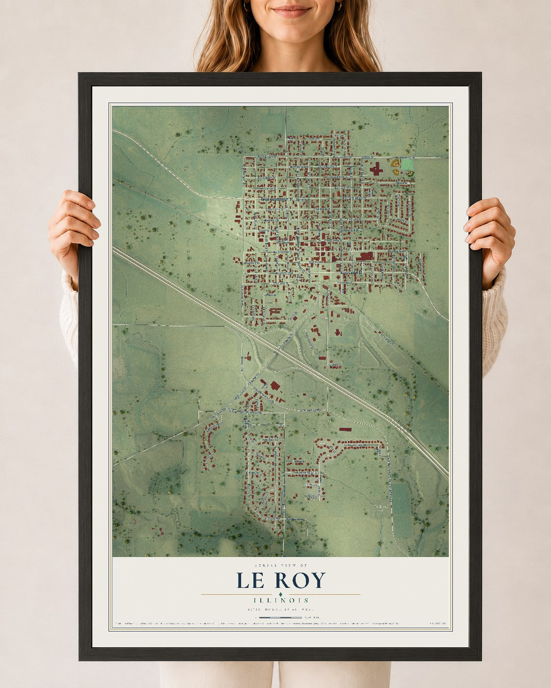 Map of Le Roy, Illinois, 24 x 36 inch print in a black wood frame